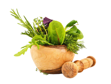 Herbal & Medicinal Plants